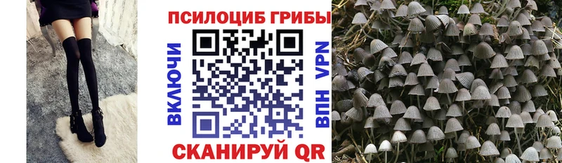 Галлюциногенные грибы Magic Shrooms  Нолинск 